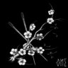 Flower_of_Nothing's profile picture
