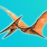 🟥 PterodactyLilly 🟥's profile picture
