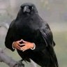 E A's profile picture