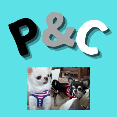 P&C ジロー🧔🏻♀️'s profile picture