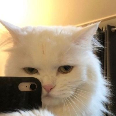 minnnny_mn's profile picture