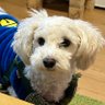 はる's profile picture