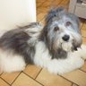 Profilbild von Liliane Mogis