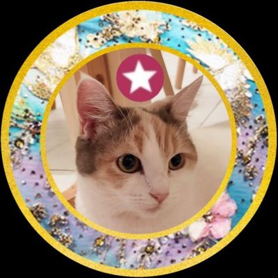 てまきずし🍯🍊低浮上気味🙏's profile picture