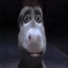 Quant's profile picture