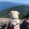 Maggie’s Dad's profile picture
