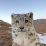 🐆's profile picture