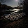 Cold Stream profil fotoğrafı