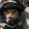 Profilbild von O Borges 🏎💨