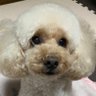 まのま profil fotoğrafı