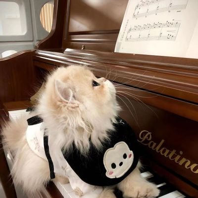 jiunniannian's profile picture
