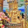 Фото профиля Yook