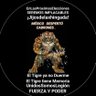 #AMLITOnoSeToca profil fotoğrafı