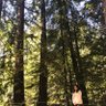 M profil fotoğrafı