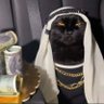 Profilbild von kingaoxd