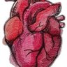 Фото профиля Aorta
