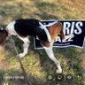 Samprt19761's profile picture