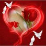 Mo elnemer's profile picture