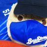 渚のはいからぷー(なぎぷー)⚾🏇🍻🎽🐭's profile picture
