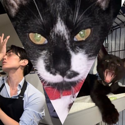 kintorefudousan's profile picture