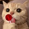 Miller_senpai profil fotoğrafı