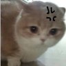 Фото профиля Meowcasm ≽^•⩊•^≼