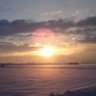 エル 的头像