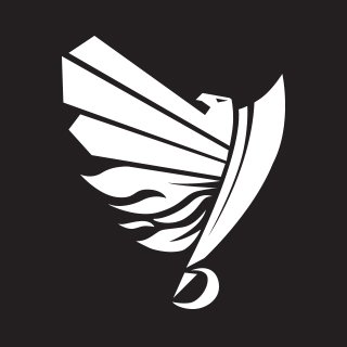 SWARCO_RAIDERS's profile picture
