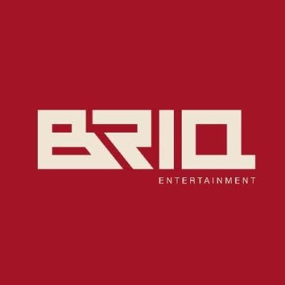 BRIQofficial's profile picture
