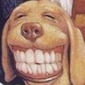 Profilbild von S E