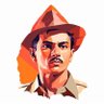 The Patriot's profile picture