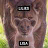 Фото профиля Marc LILIES /LLOUD\