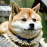 mito_pijat_malkot's profile picture