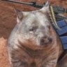 Spicey Wombat profil fotoğrafı