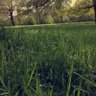 Фото профиля thormesllii