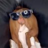 Profilbild von Isaac Dee Snuts