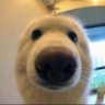 Denizolmakzorunda ''🛸'' profil fotoğrafı