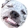 SlightlyOptimistic's profile picture