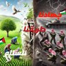 السيد وزف بن سمك الدين 的头像