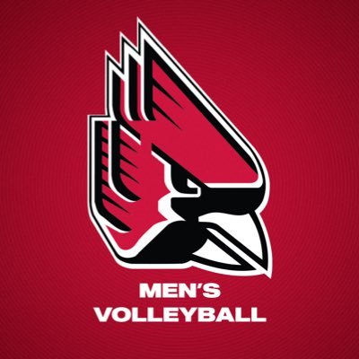 Ball State Men's Volleyball's profile picture