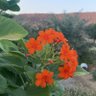 Фото профиля عبدالعزيز بن داخل .