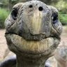 Annie Leymarie's profile picture