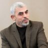 sherif hassan profil fotoğrafı
