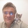 ilker Engel's profile picture