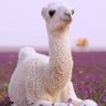 Khalil Alnefae. SA . 的头像