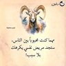 المتمرد profil fotoğrafı