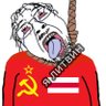 Litvinists hate object 的头像