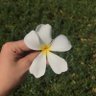 𝓝𝓮𝓱𝓪𝓵 ‘🌟' نـهـال's profile picture
