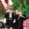 てっちゃん's profile picture