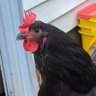Фото профиля Reg 2